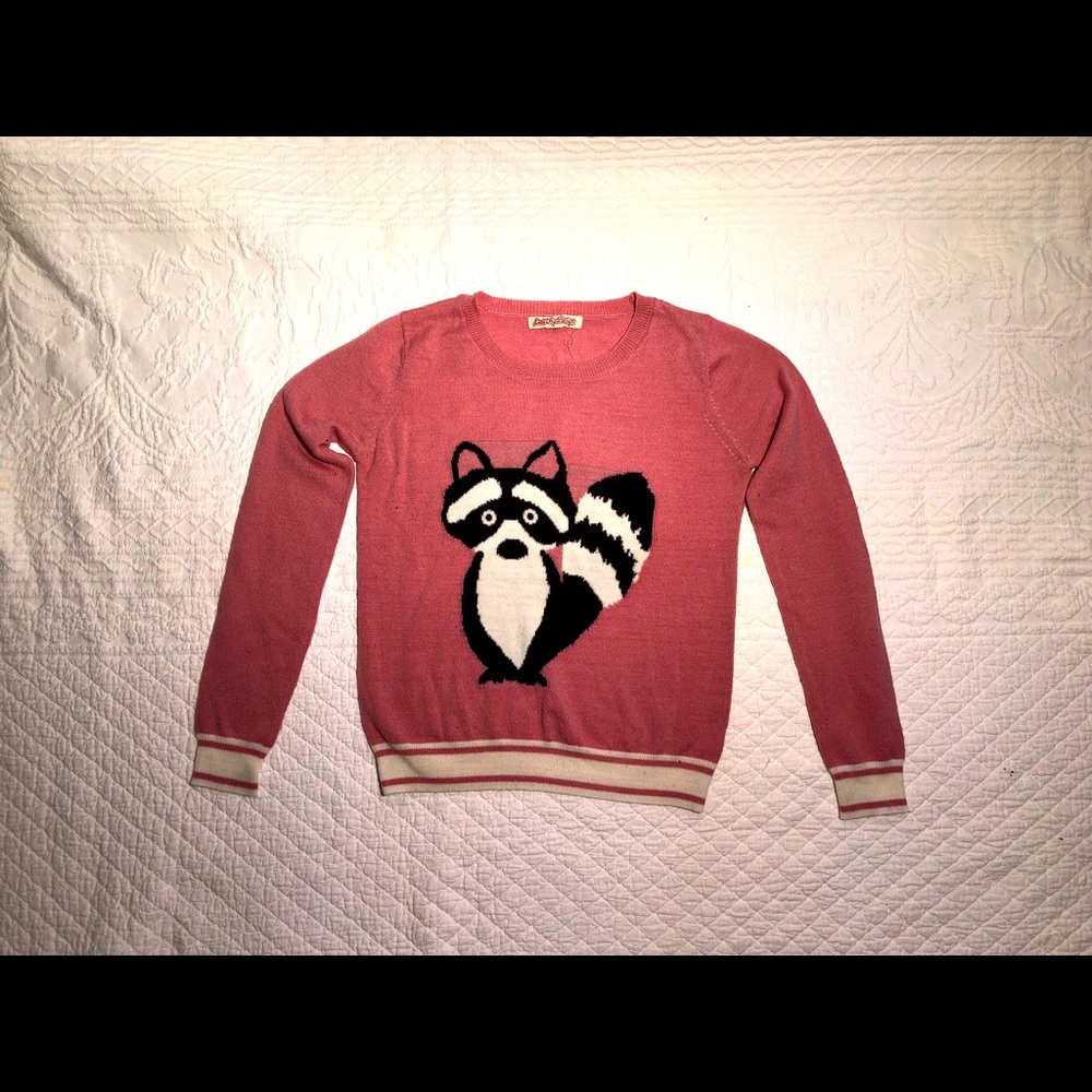Love By Design raccoon sweater